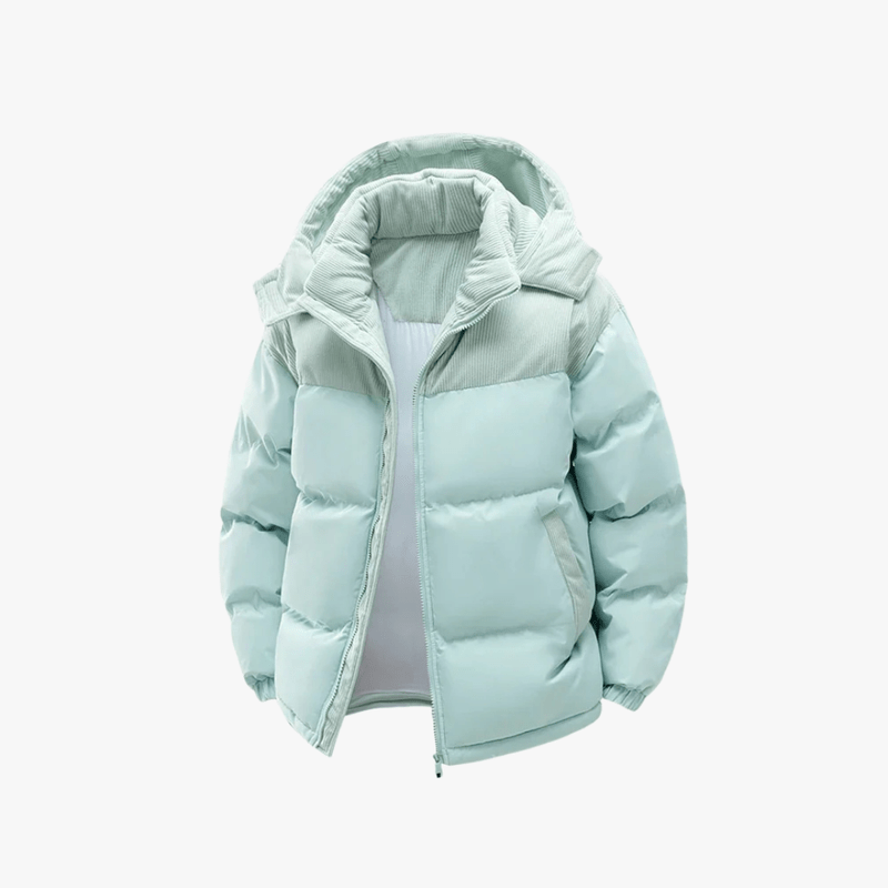 Casual heren all-season puffer jacket met capuchon